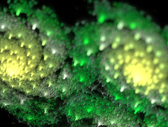 Similar image 21667159