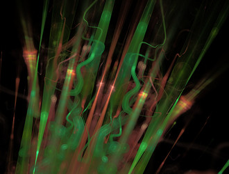 Similar image 21663506