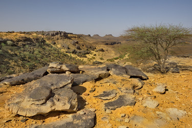 Similar image 21663662