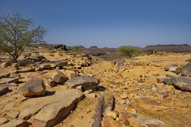 Similar image 21663663