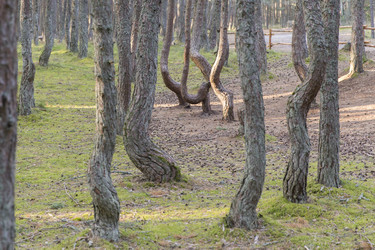 Similar image 21663289