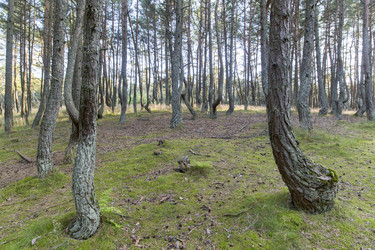 Similar image 21663291