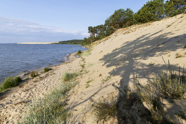 Similar image 21663398