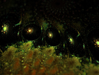 Similar image 21665308