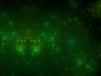 Similar image 21666188