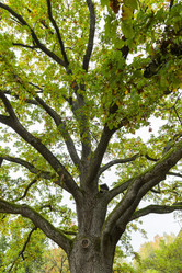 Similar image 21664072