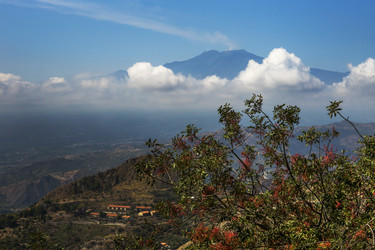 Similar image 21664208