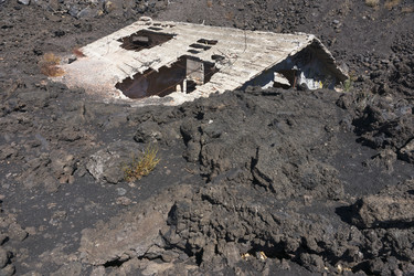 Similar image 21664209