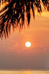 Similar image 21664232