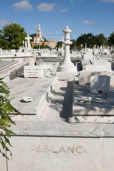 Similar image 21663296