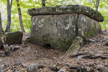 Similar image 21663908