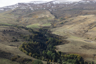 Similar image 21663910