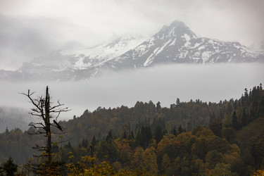 Similar image 21663912