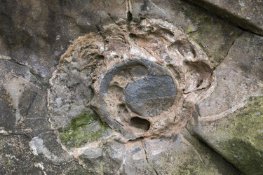 Similar image 21663916