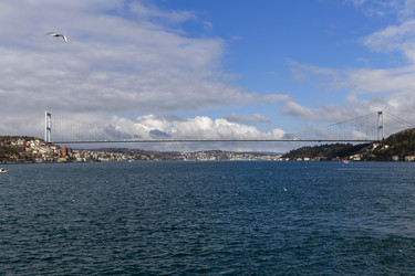 Similar image 21663935