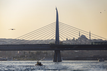 Similar image 21664107