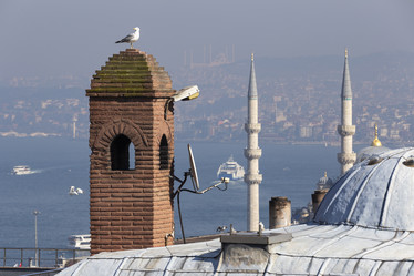 Similar image 21664122