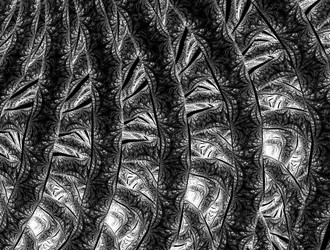 Similar image 21666206