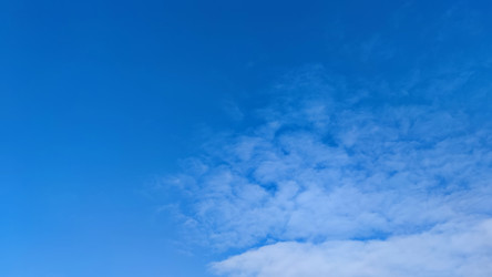 Similar image 21663529