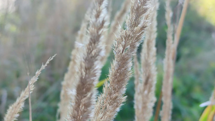 Similar image 21663532