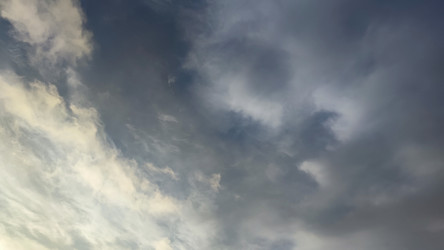 Similar image 21663533