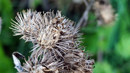 Similar image 21663534