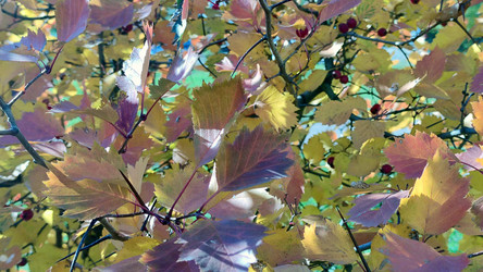 Similar image 21663544