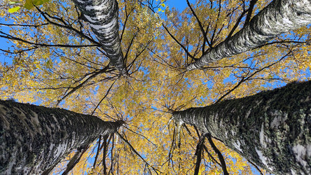 Similar image 21663551