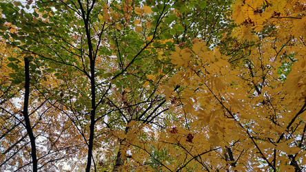 Similar image 21663554