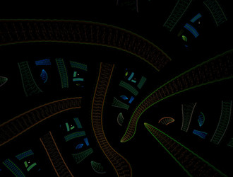 Similar image 21664989