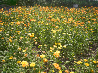 Similar image 21670235