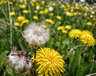 Similar image 21670236