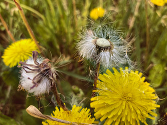 Similar image 21670237