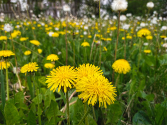 Similar image 21670240