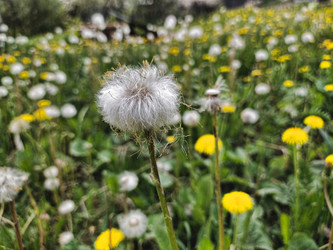 Similar image 21670242