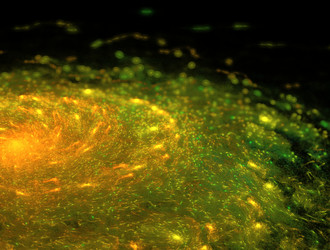 Similar image 21666508