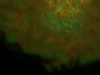 Similar image 21666513