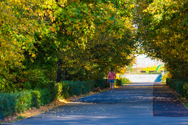 Similar image 21665404