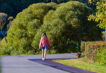 Similar image 21665408