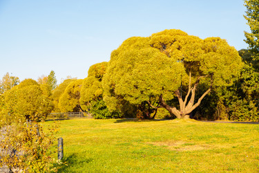 Similar image 21665413