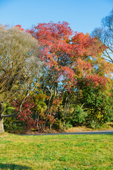 Similar image 21665414