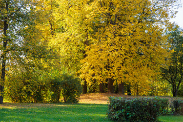 Similar image 21665416