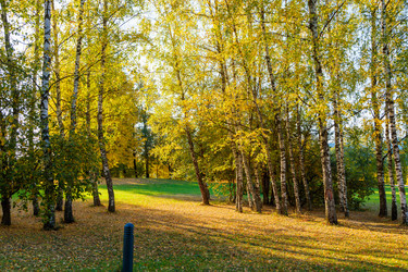 Similar image 21665417