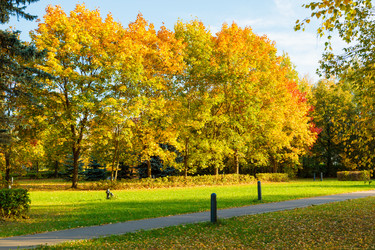 Similar image 21665418