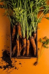 Similar image 21665419