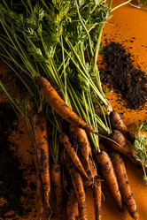 Similar image 21665420