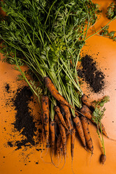 Similar image 21665421