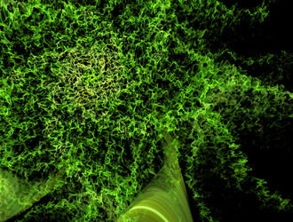 Similar image 21666928