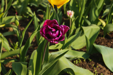 Similar image 21663939