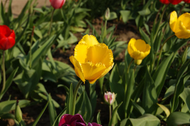 Similar image 21663940